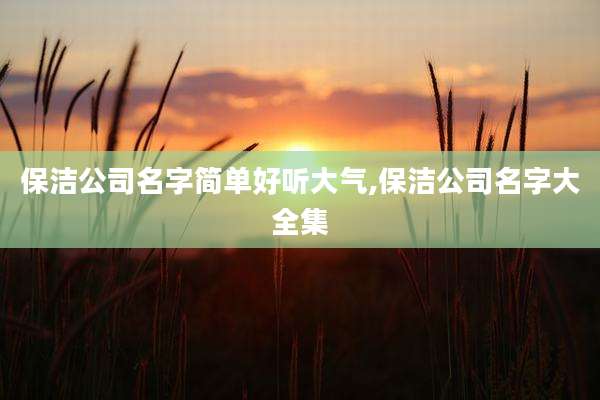 保洁公司名字简单好听大气,保洁公司名字大全集
