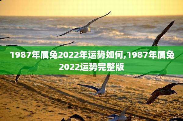 1987年属兔2022年运势如何,1987年属兔2022运势完整版