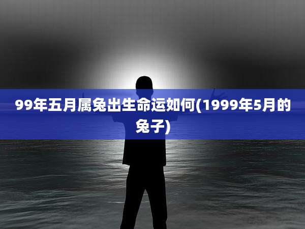 99年五月属兔出生命运如何(1999年5月的兔子)