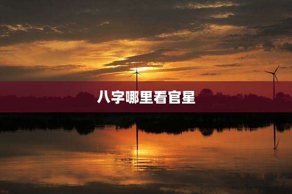 八字哪里看官星