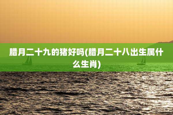 腊月二十九的猪好吗(腊月二十八出生属什么生肖)