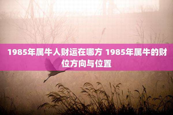 1985年属牛人财运在哪方 1985年属牛的财位方向与位置