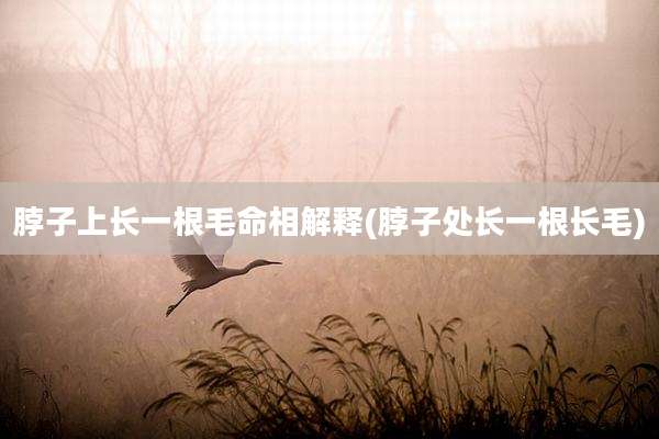 脖子上长一根毛命相解释(脖子处长一根长毛)