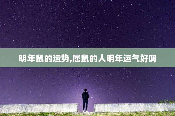 明年鼠的运势,属鼠的人明年运气好吗