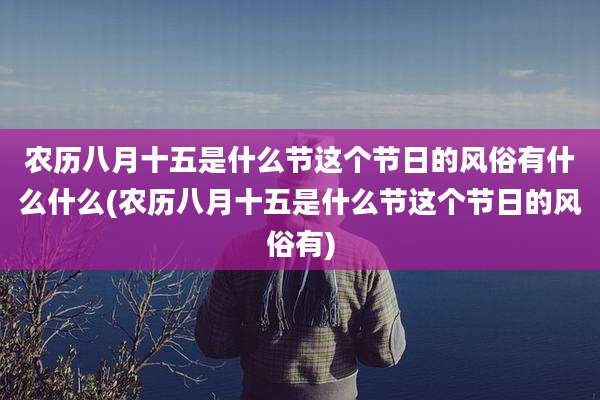 农历八月十五是什么节这个节日的风俗有什么什么(农历八月十五是什么节这个节日的风俗有)