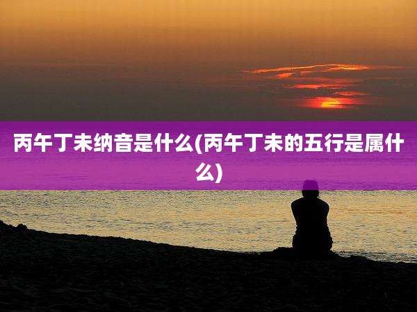 丙午丁未纳音是什么(丙午丁未的五行是属什么)