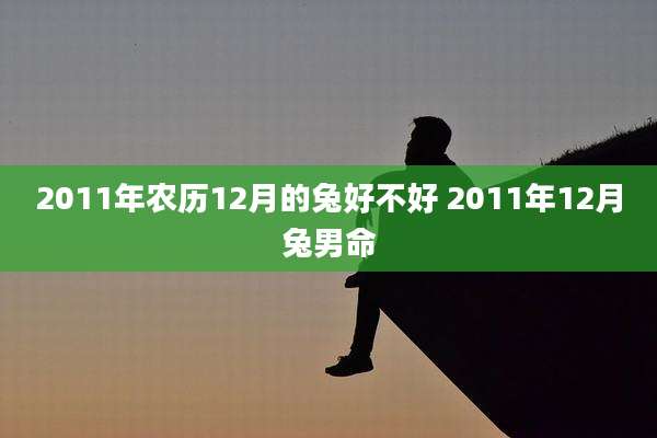 2011年农历12月的兔好不好 2011年12月兔男命