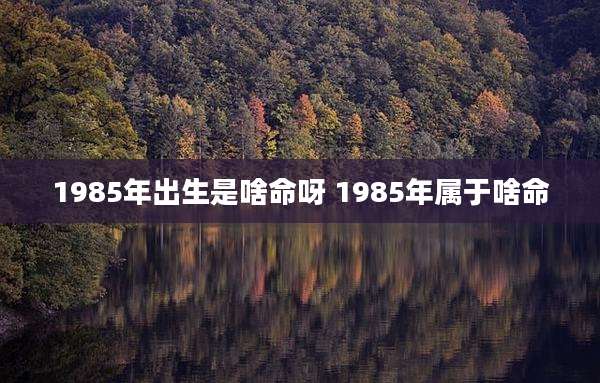 1985年出生是啥命呀 1985年属于啥命