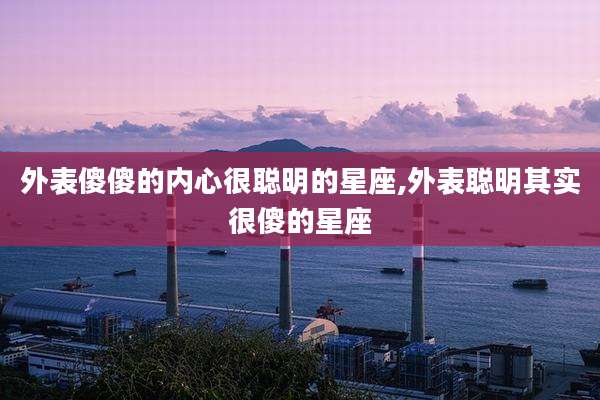 外表傻傻的内心很聪明的星座,外表聪明其实很傻的星座