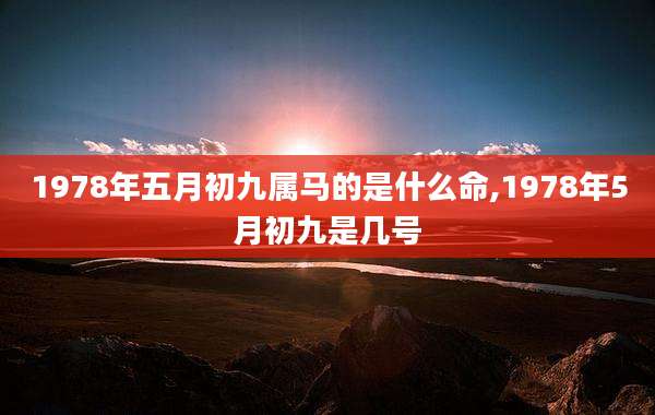 1978年五月初九属马的是什么命,1978年5月初九是几号