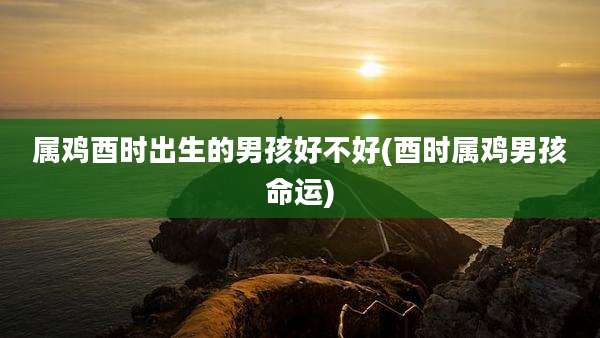 属鸡酉时出生的男孩好不好(酉时属鸡男孩命运)