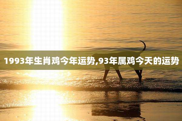 1993年生肖鸡今年运势,93年属鸡今天的运势