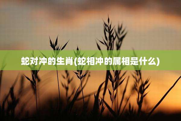 蛇对冲的生肖(蛇相冲的属相是什么)