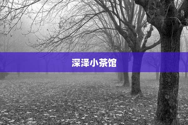 深泽小茶馆