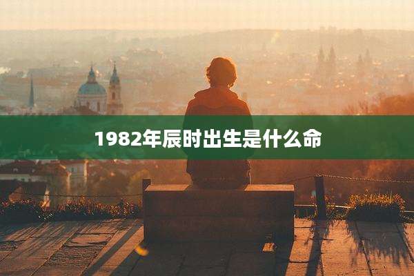 1982年辰时出生是什么命