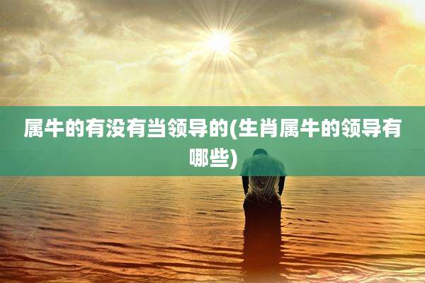 属牛的有没有当领导的(生肖属牛的领导有哪些)