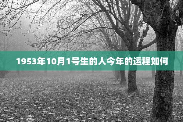 1953年10月1号生的人今年的运程如何