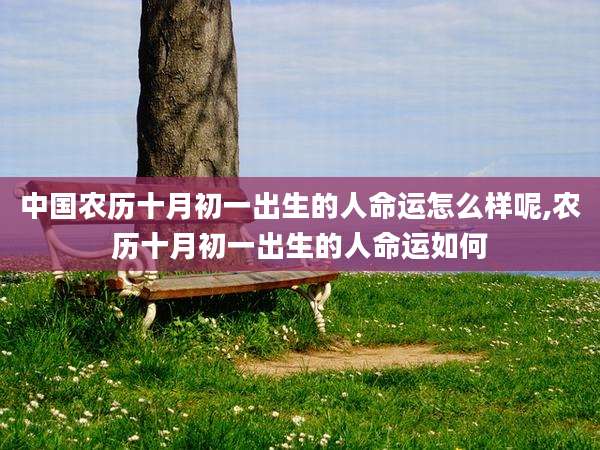 中国农历十月初一出生的人命运怎么样呢,农历十月初一出生的人命运如何