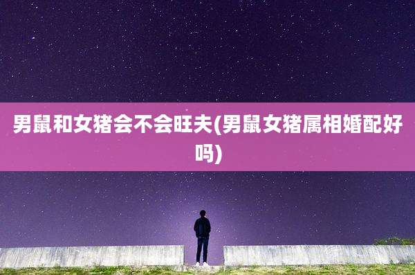 男鼠和女猪会不会旺夫(男鼠女猪属相婚配好吗)