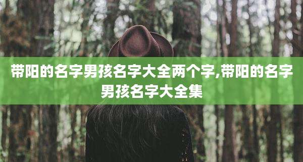 带阳的名字男孩名字大全两个字,带阳的名字男孩名字大全集