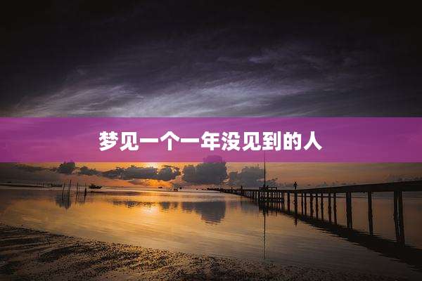 梦见一个一年没见到的人