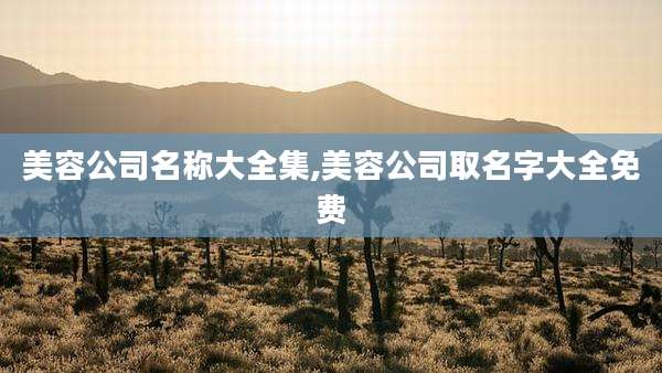 美容公司名称大全集,美容公司取名字大全免费