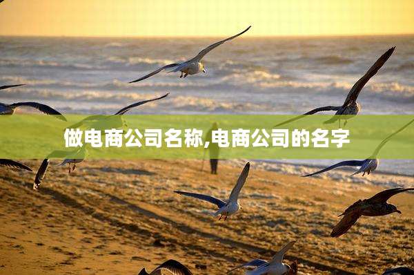 做电商公司名称,电商公司的名字