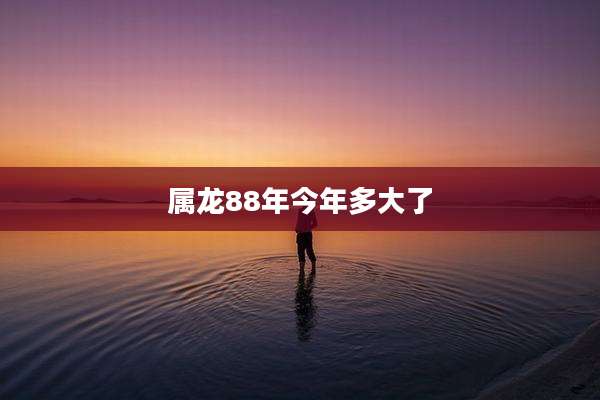 属龙88年今年多大了