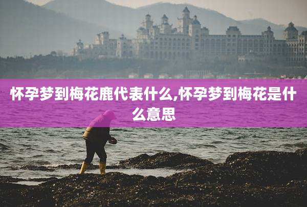 怀孕梦到梅花鹿代表什么,怀孕梦到梅花是什么意思