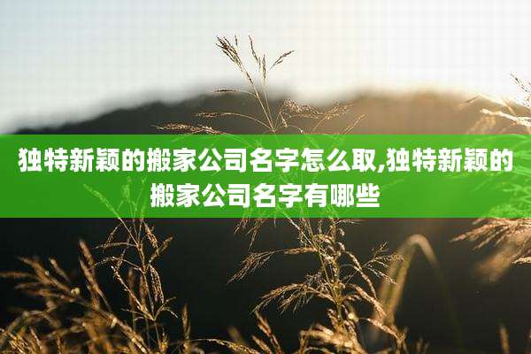 独特新颖的搬家公司名字怎么取,独特新颖的搬家公司名字有哪些