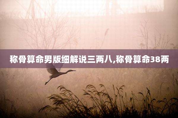 称骨算命男版细解说三两八,称骨算命38两