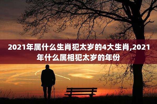 2021年属什么生肖犯太岁的4大生肖,2021年什么属相犯太岁的年份