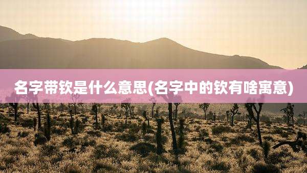 名字带钦是什么意思(名字中的钦有啥寓意)