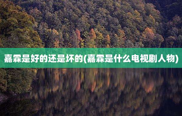 嘉霖是好的还是坏的(嘉霖是什么电视剧人物)