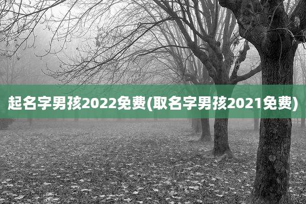 起名字男孩2022免费(取名字男孩2021免费)