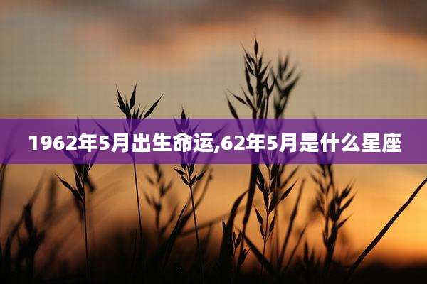 1962年5月出生命运,62年5月是什么星座
