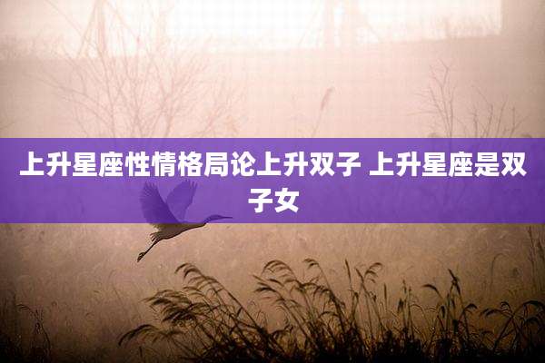 上升星座性情格局论上升双子 上升星座是双子女