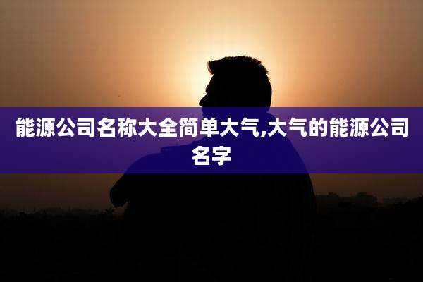 能源公司名称大全简单大气,大气的能源公司名字
