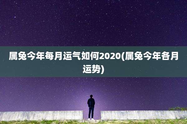属兔今年每月运气如何2020(属兔今年各月运势)