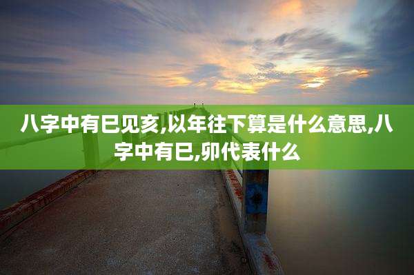 八字中有巳见亥,以年往下算是什么意思,八字中有巳,卯代表什么