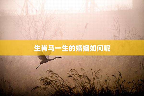生肖马一生的婚姻如何呢