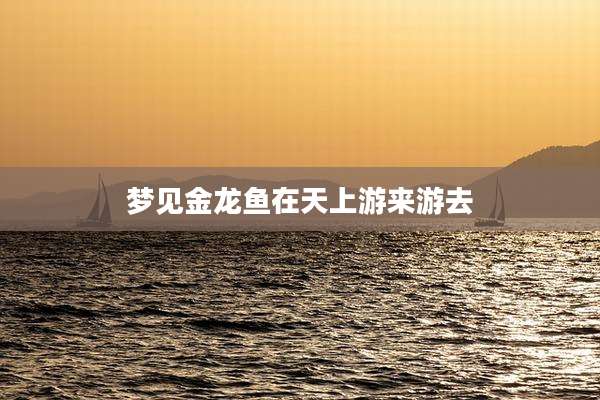 梦见金龙鱼在天上游来游去