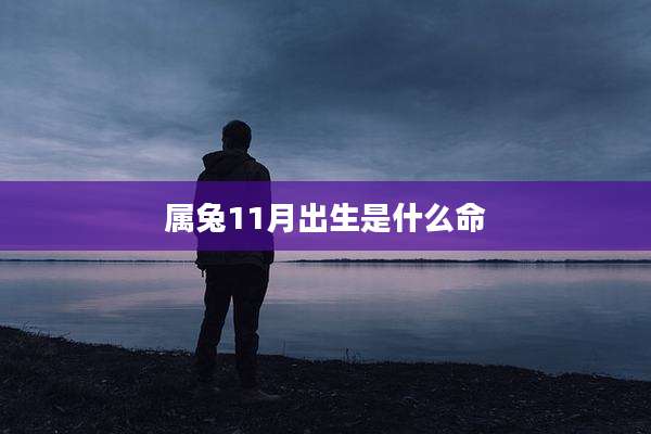 属兔11月出生是什么命