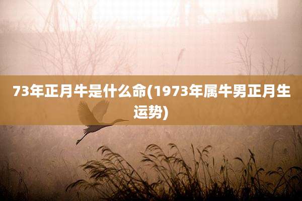 73年正月牛是什么命(1973年属牛男正月生运势)