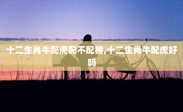 十二生肖牛配虎配不配猪,十二生肖牛配虎好吗
