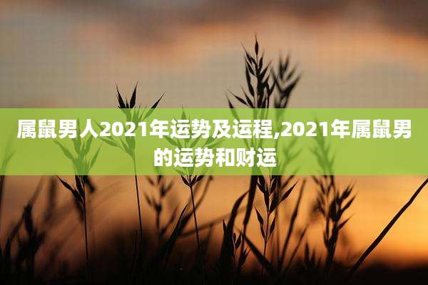 属鼠男人2021年运势及运程,2021年属鼠男的运势和财运