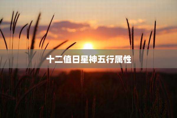 十二值日星神五行属性