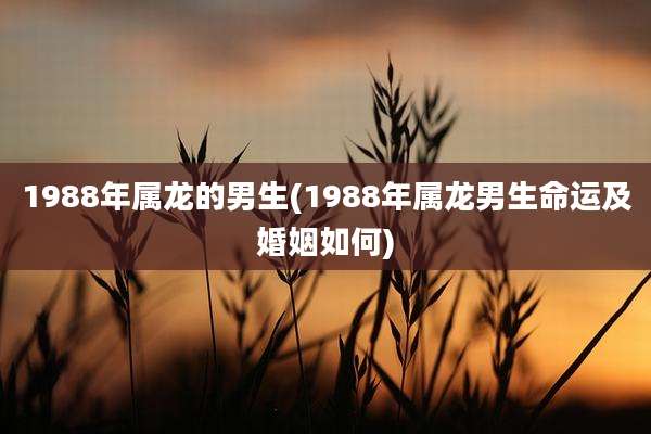 1988年属龙的男生(1988年属龙男生命运及婚姻如何)