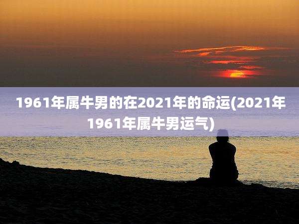 1961年属牛男的在2021年的命运(2021年1961年属牛男运气)