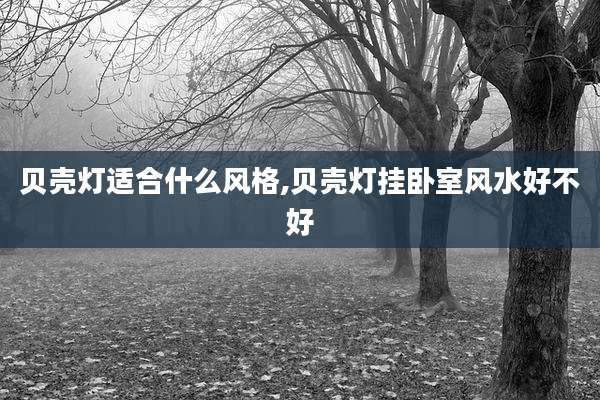 贝壳灯适合什么风格,贝壳灯挂卧室风水好不好